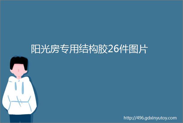 阳光房专用结构胶26件图片