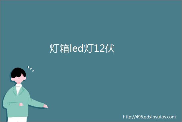 灯箱led灯12伏